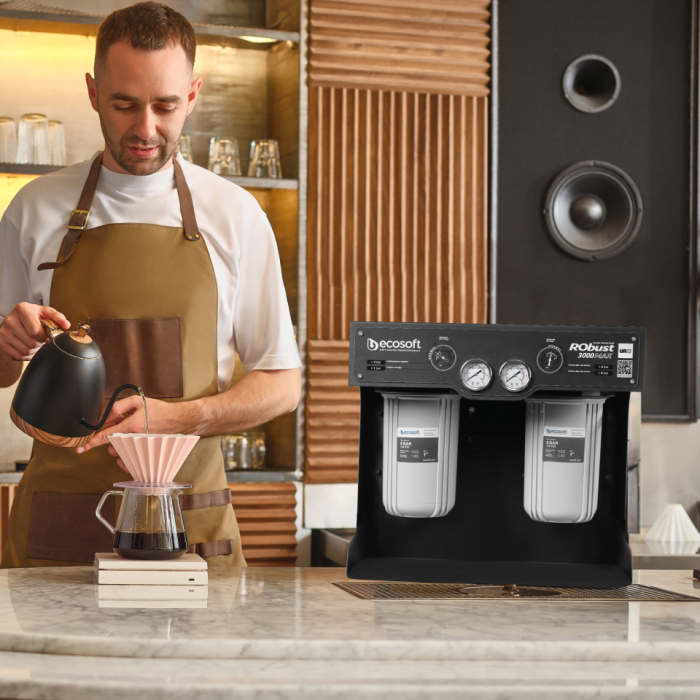 Фільтр зворотного осмосу ECOSOFT RObust 3000MAX