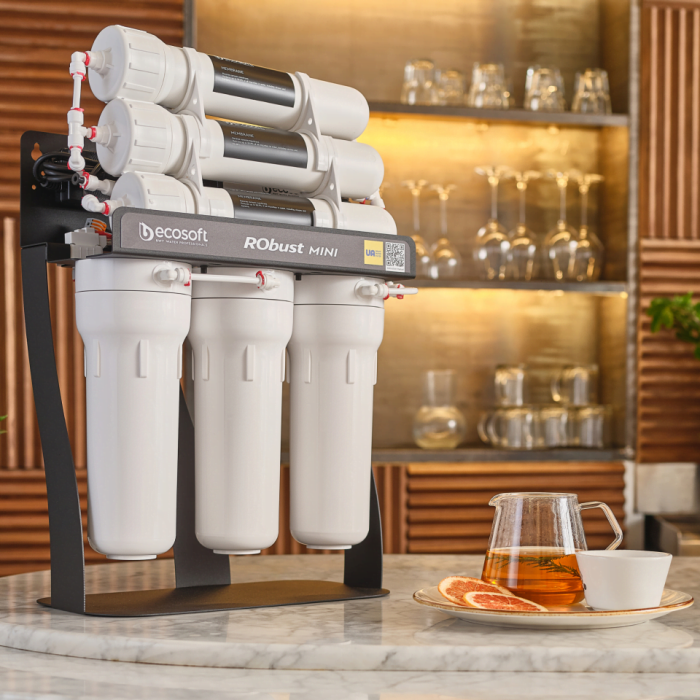 ФІЛЬТР ЗВОРОТНОГО ОСМОСУ ECOSOFT ROBUST MINI