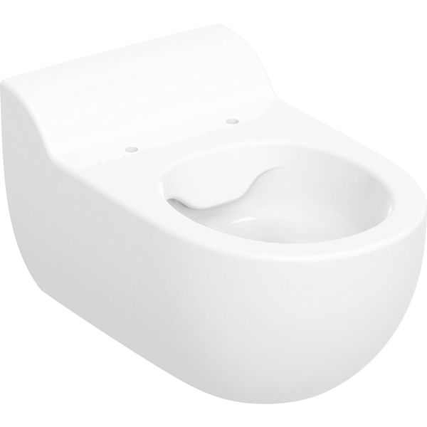 Підвісний унітаз для дітей Geberit Bambini, Rimfree, білий (502.959.00.1)
