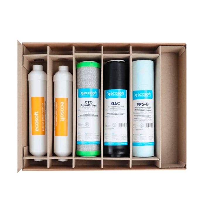 Комплект картриджів Ecosoft Absolute "6 місяців" (CHV5ECOABS)